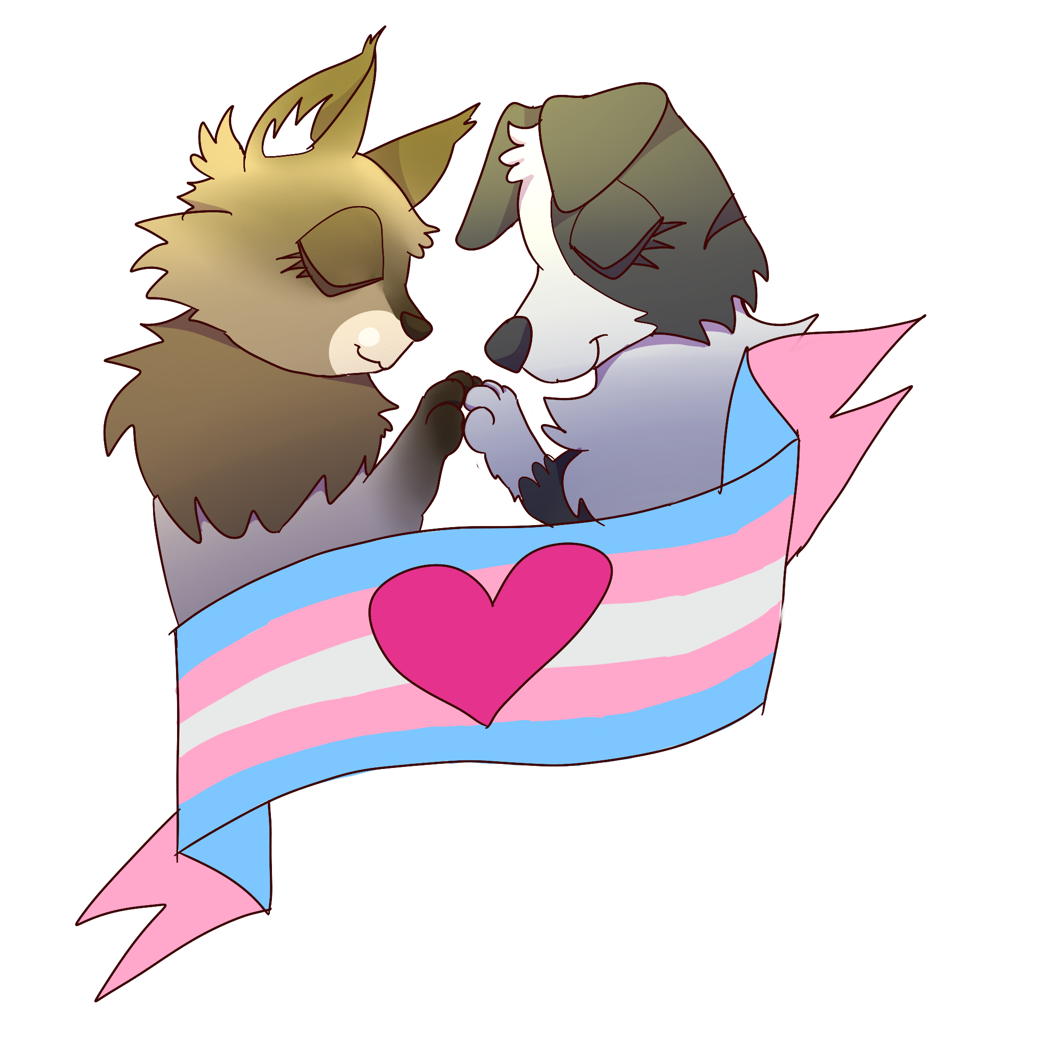 image of a brown birman cat and a black and white border collie dog holding hands surrounding by a trans flag with a heart on it